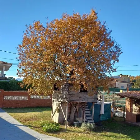 Σπίτι διακοπών Piscina De Sal Barbacoa Wifi, Parking Gratis, 3 Min Pga Casa El Roble *