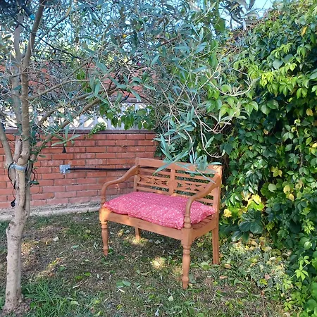 Σπίτι διακοπών Piscina De Sal Barbacoa Wifi, Parking Gratis, 3 Min Pga Casa El Roble